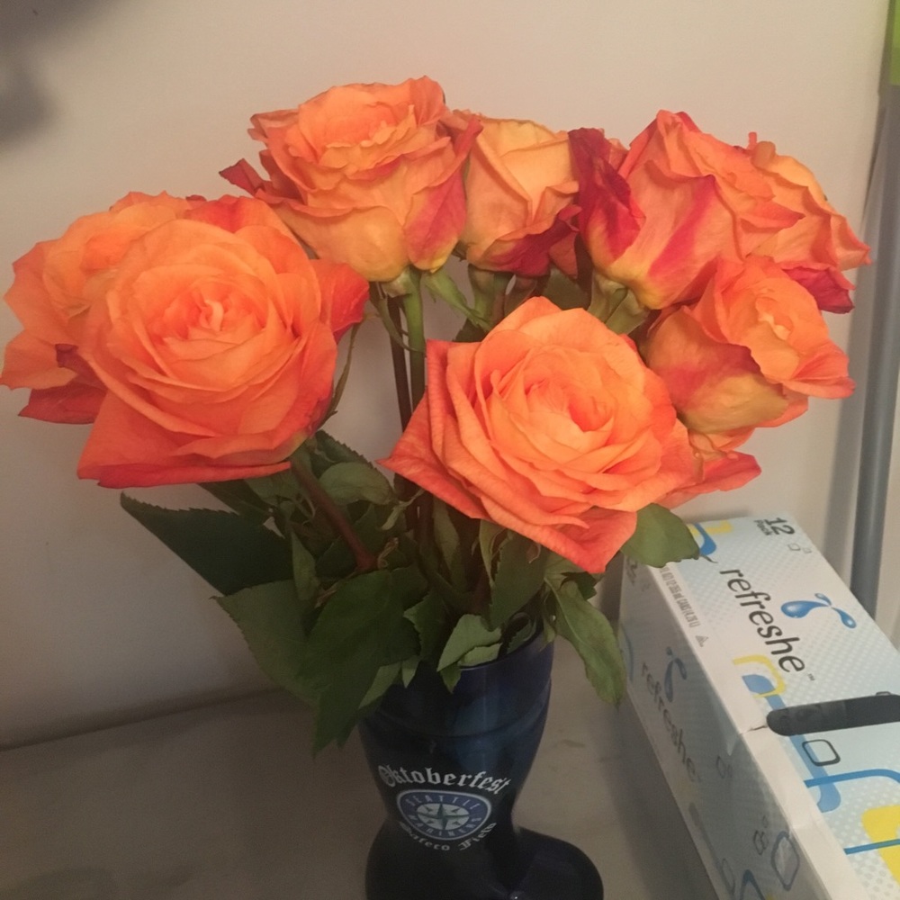 Meet your Posher, Devin